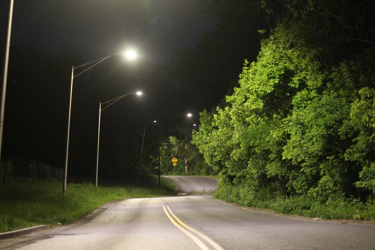 Frisbie Avenue at night in Albany, New York