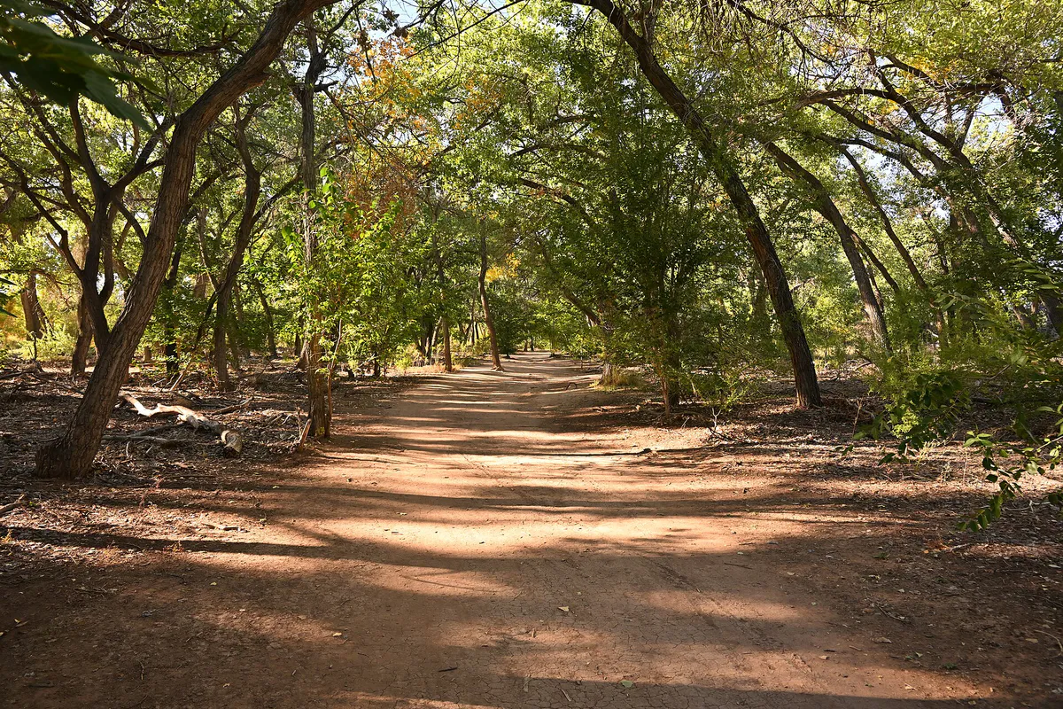 Rio Grande River Trail Albuquerque NM 2023-10-16 16-22-34 1, New Mexico