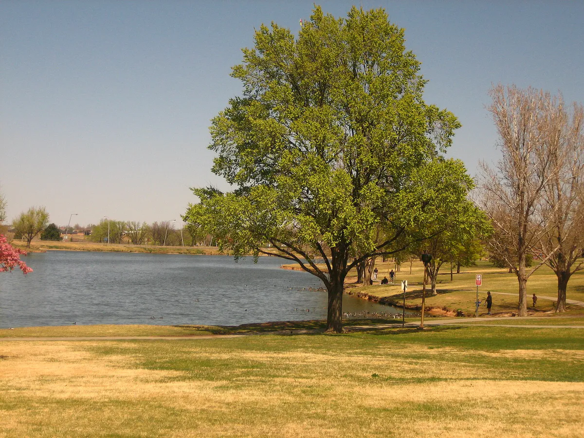 Amarillo pond IMG 0153, Texas