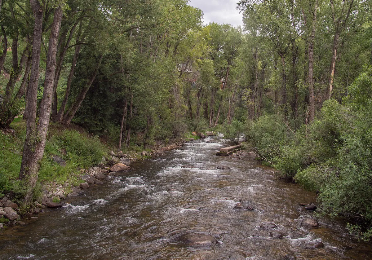 Roaring Fork River in Aspen (91197)a, Colorado