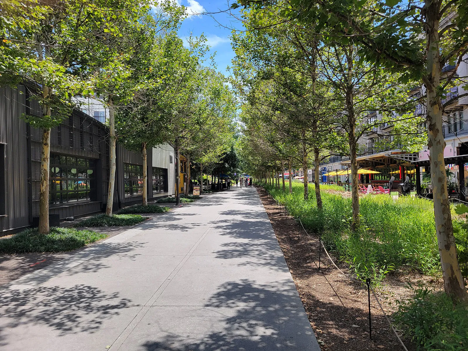 Atlanta Beltline Eastside Trail, Inman Park GA, Georgia