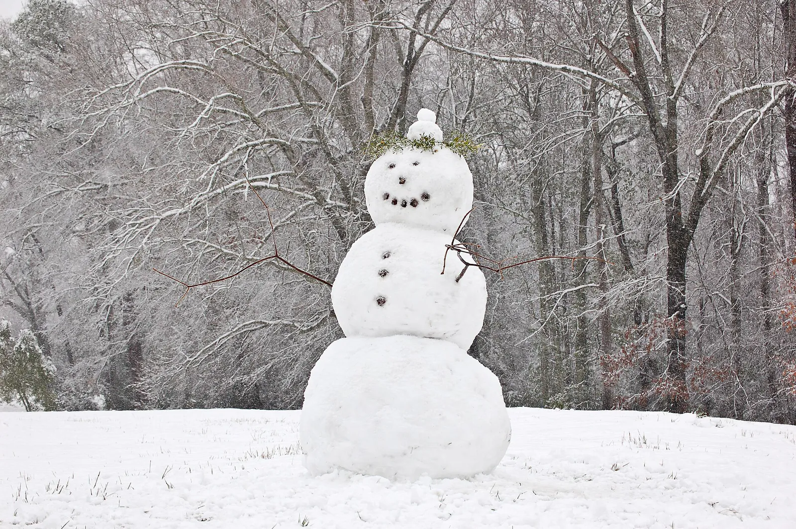 Auburn Alabama Snowman 2009