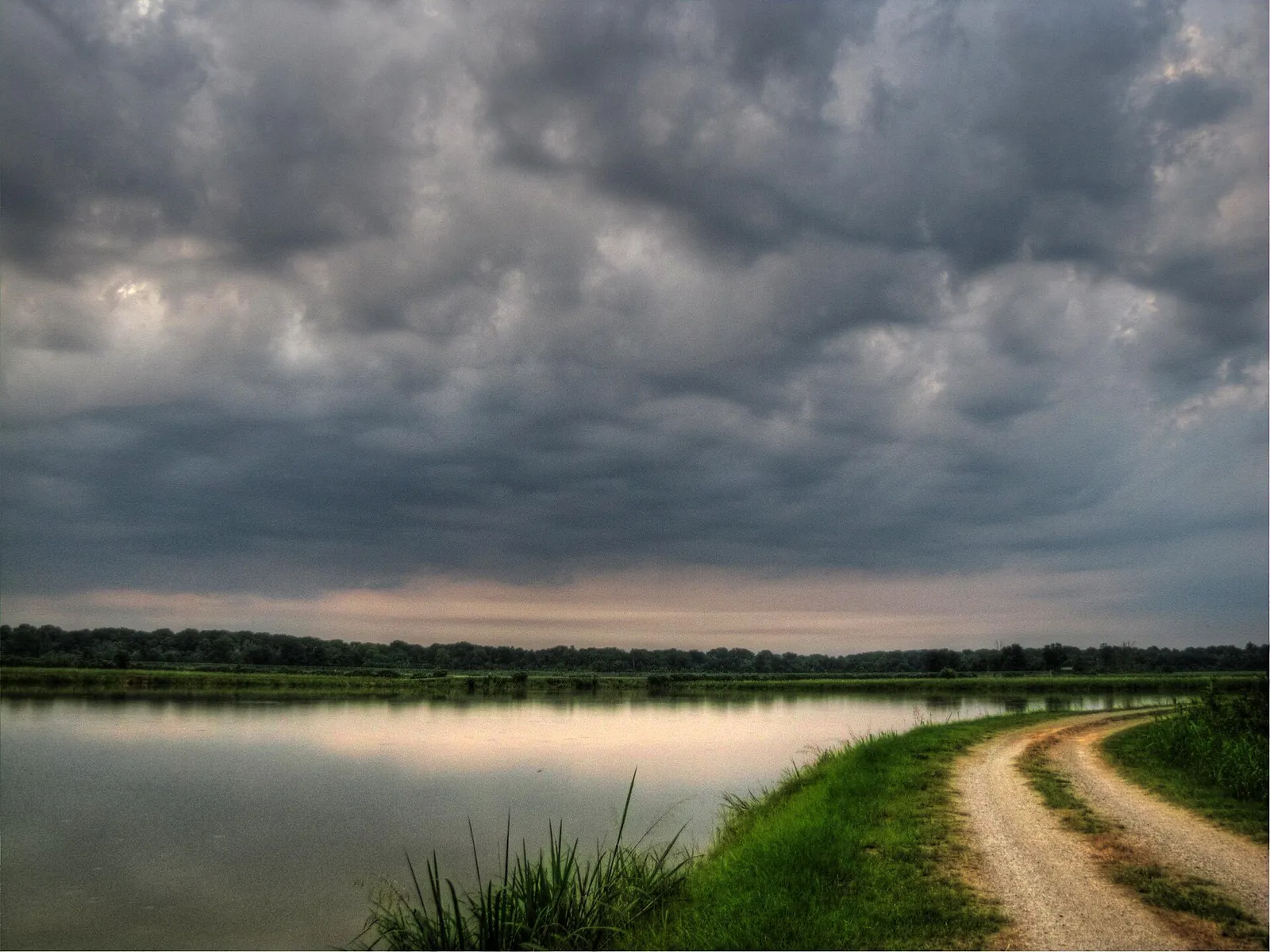 Constructed Wetland Trail, Phinizy Swamp Nature Park in Augusta, Georgia
