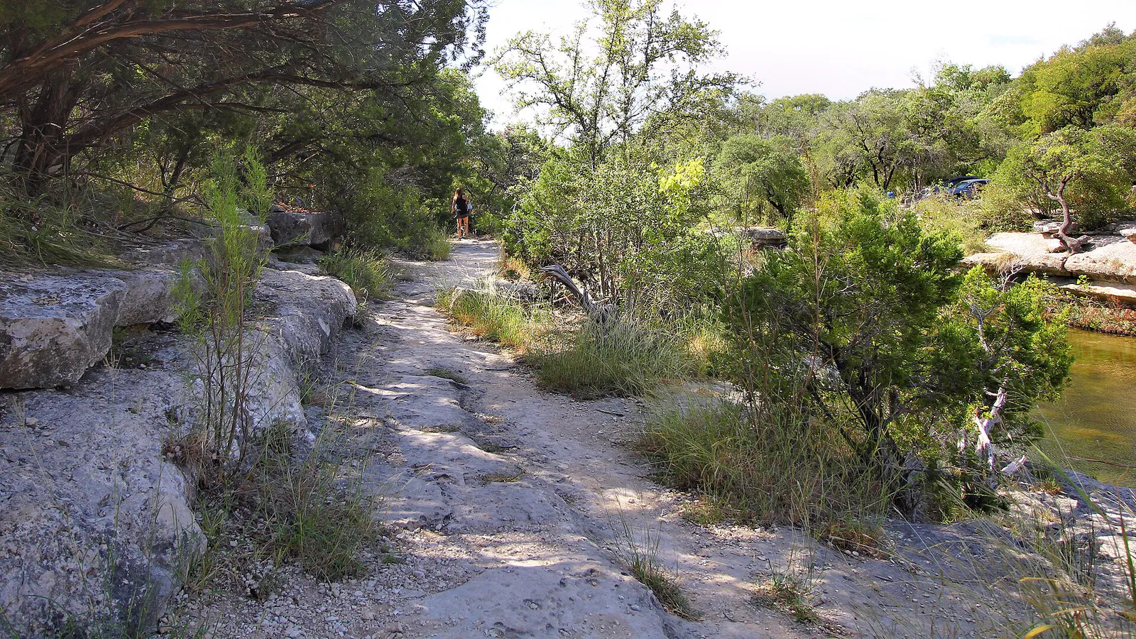 Lower Bull Creek Greenbelt Trail Austin Texas 2022
