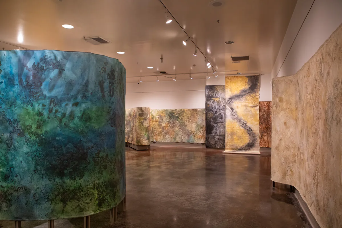 Rotem Reshef VISTA 2023 Bakersfield Museum of Art Installation view, California