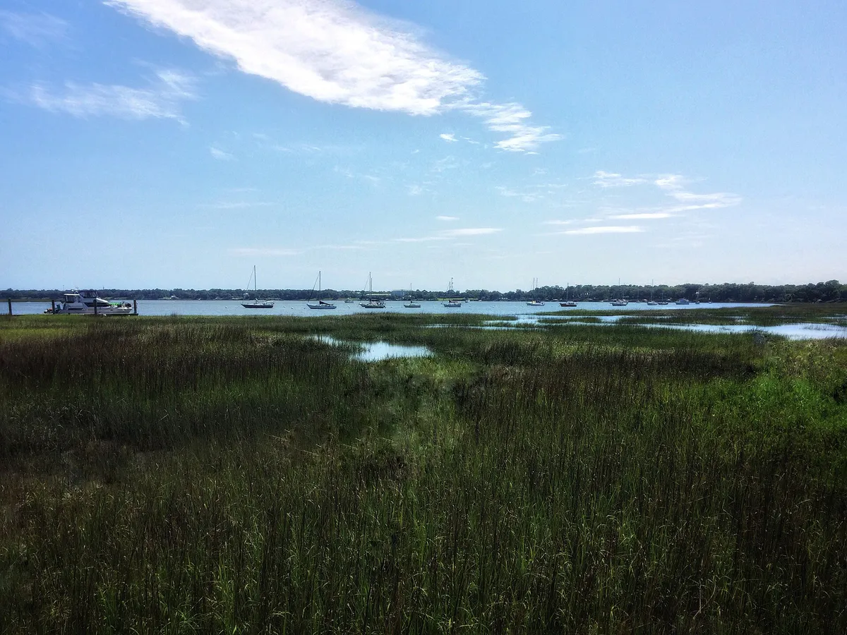 Marshlands along the Intracoastal Waterway in city of Beaufort, South Carolina