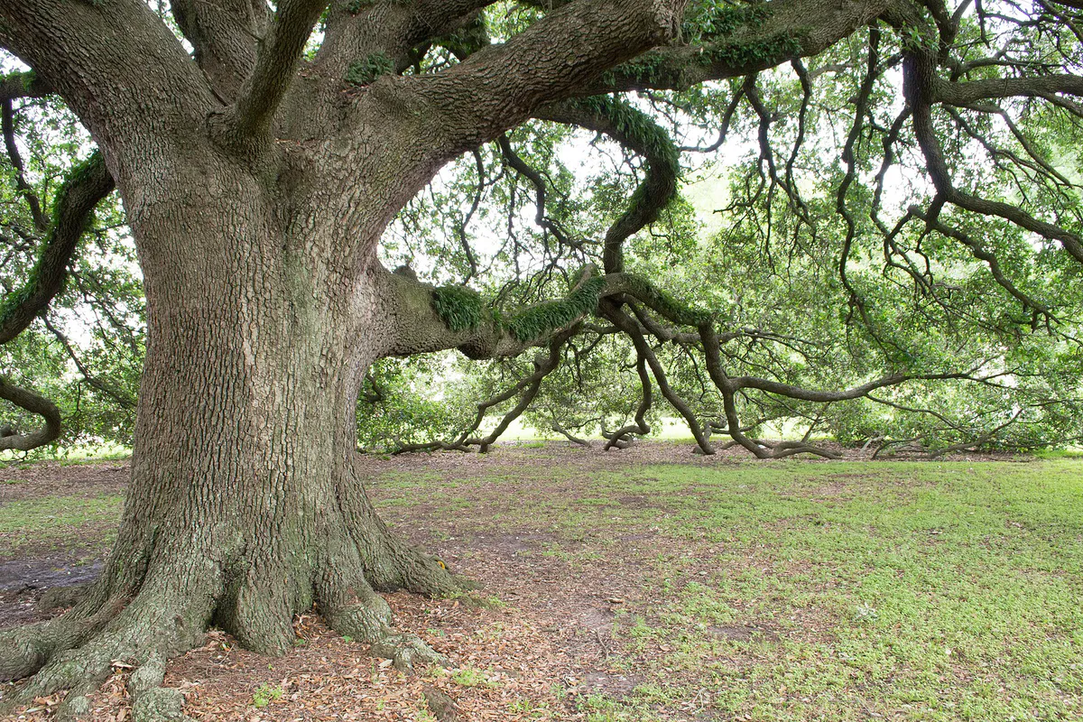 Wiess Park, Beaumont, Texas 1604281350 (26170345333)