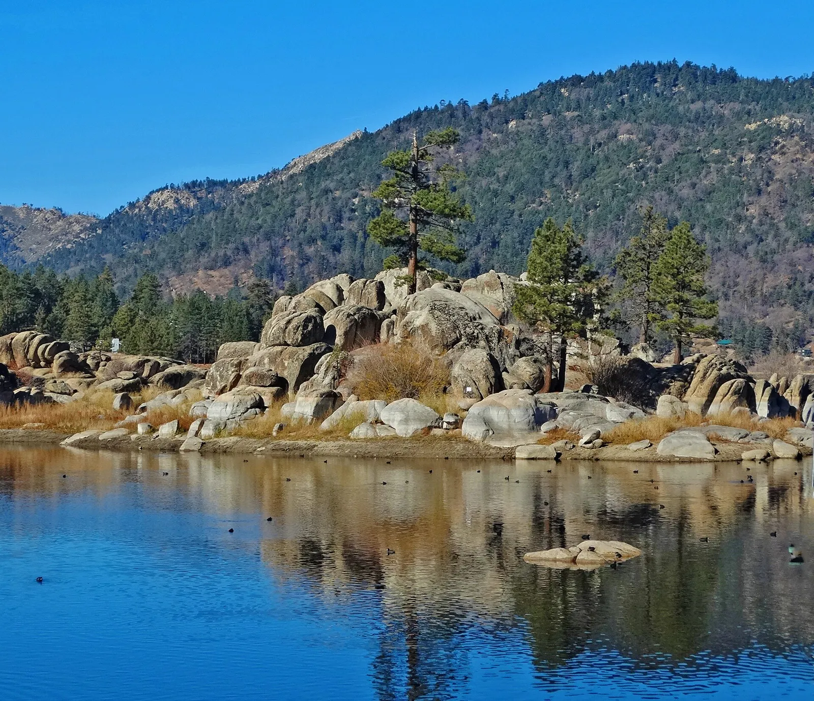 Boulder Bay, Big Bear Lake, CA 4-15 (24227774120), California