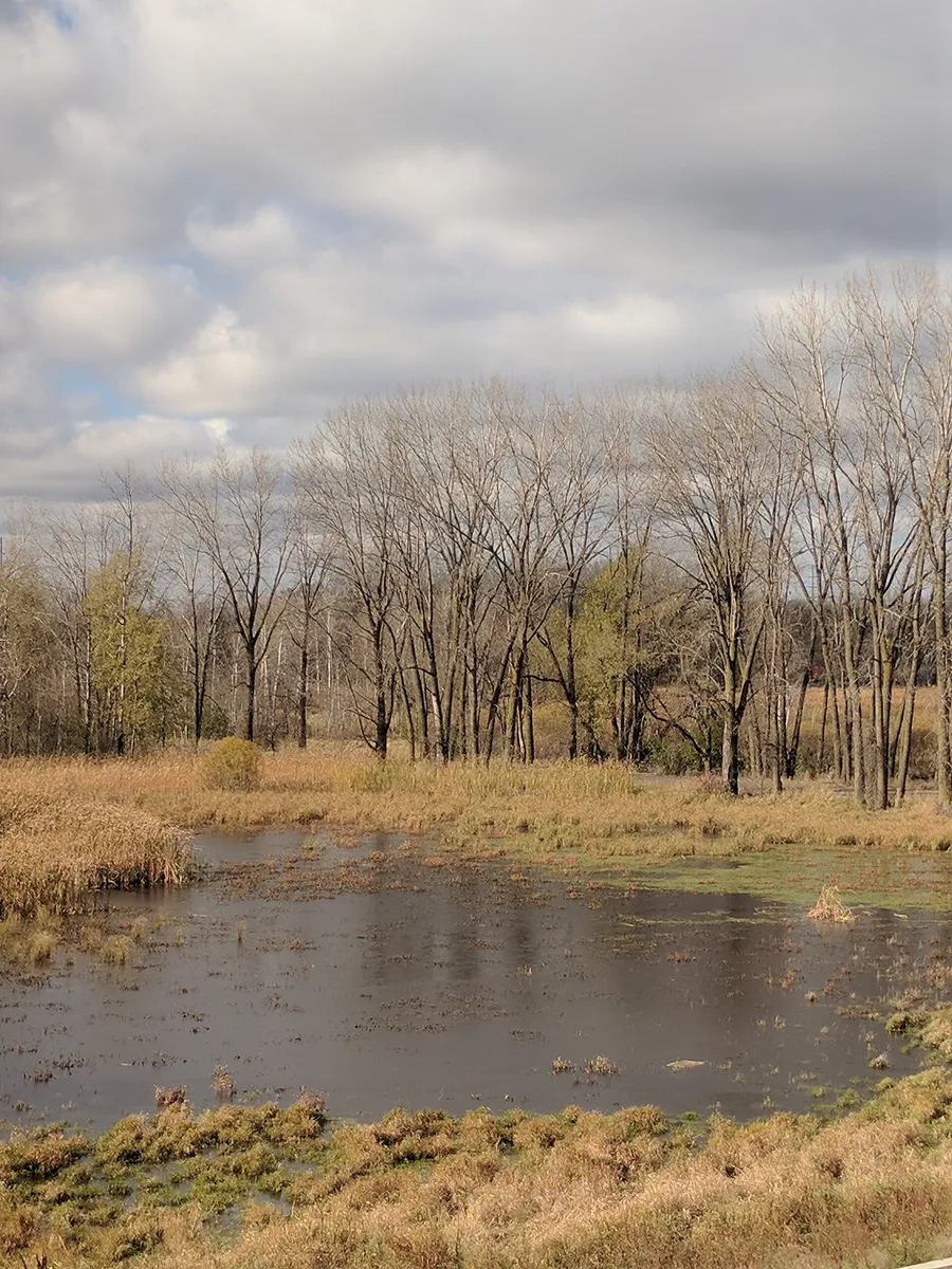 Cloudy autumn skies in Blaine, Minnesota