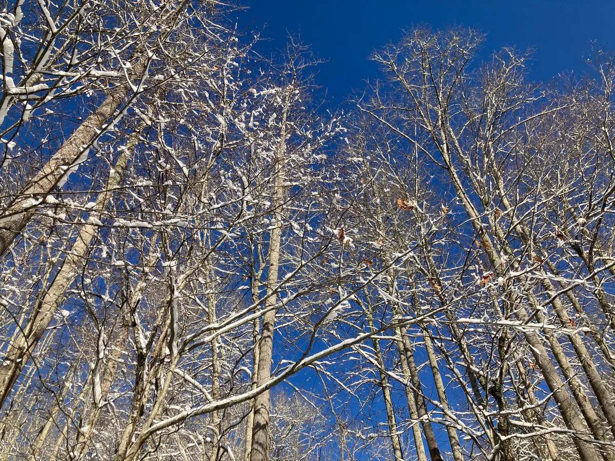 North Carolina Blue Winter Sky in Boone, North Carolina