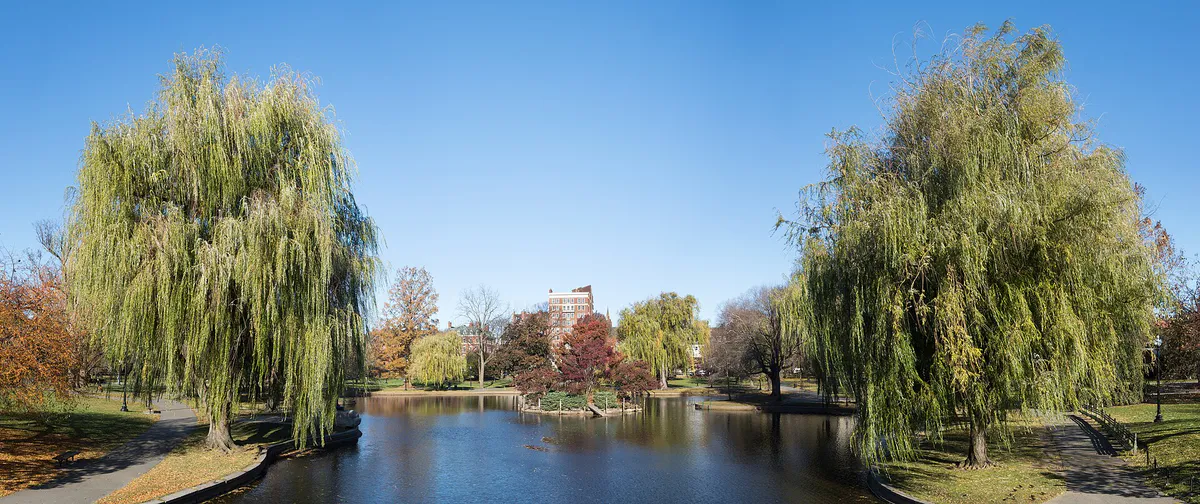 Boston Public Garden (36008p), Massachusetts