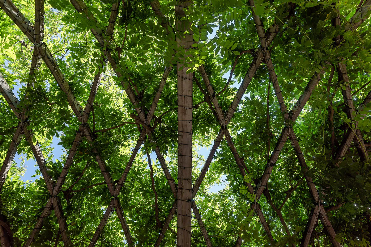 Detail of the Trellis at Christopher Columbus Park, North End District, Boston, Massachusetts, US (PPL1-Corrected) julesvernex2