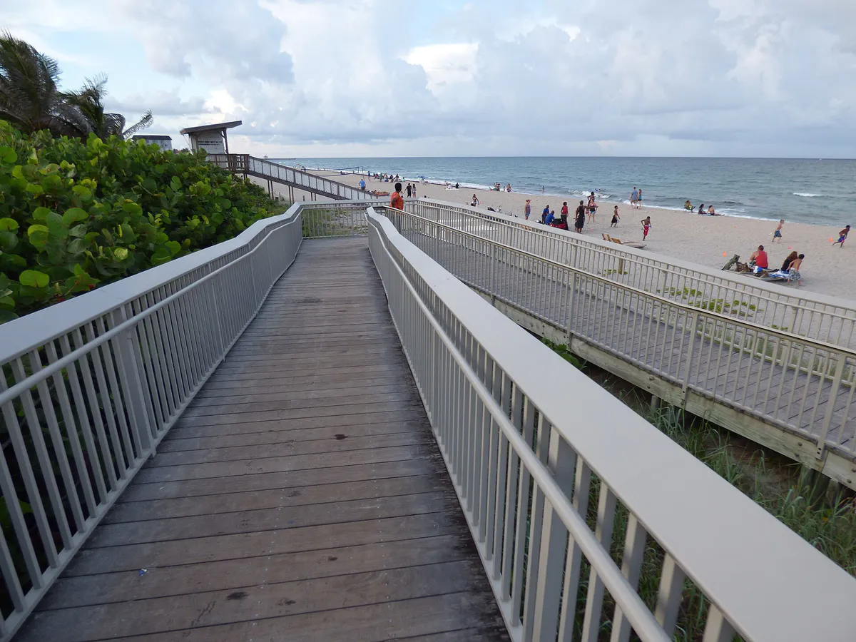 Starr-160716-0141-Coccoloba uvifera-boardwalk to beach-Ocean Front Beach Park Boynton Beach-Florida (29668098915)