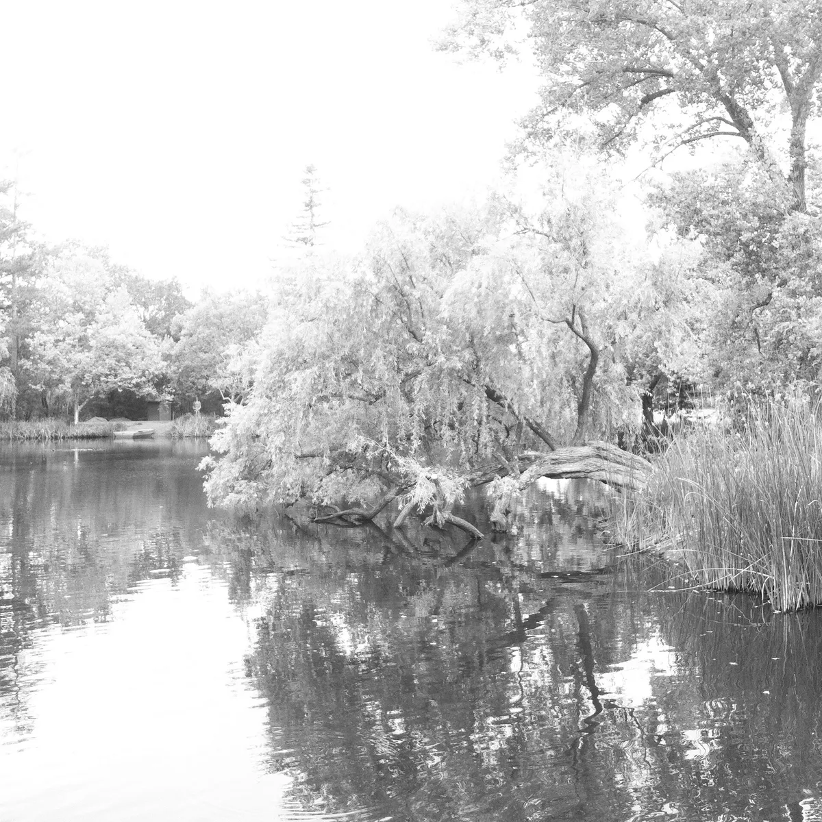 Chateau Grounds in Calistoga, California