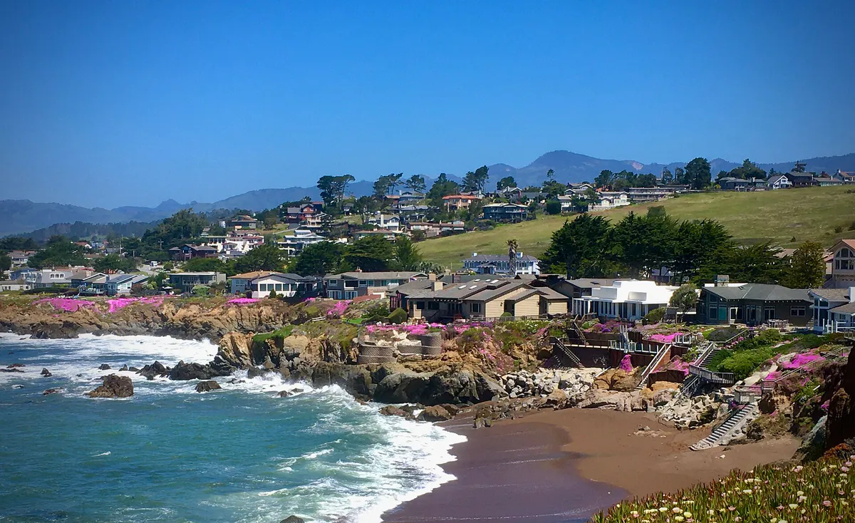 Delosperma cooperi plantings at waterfront, Cambria Calif, California