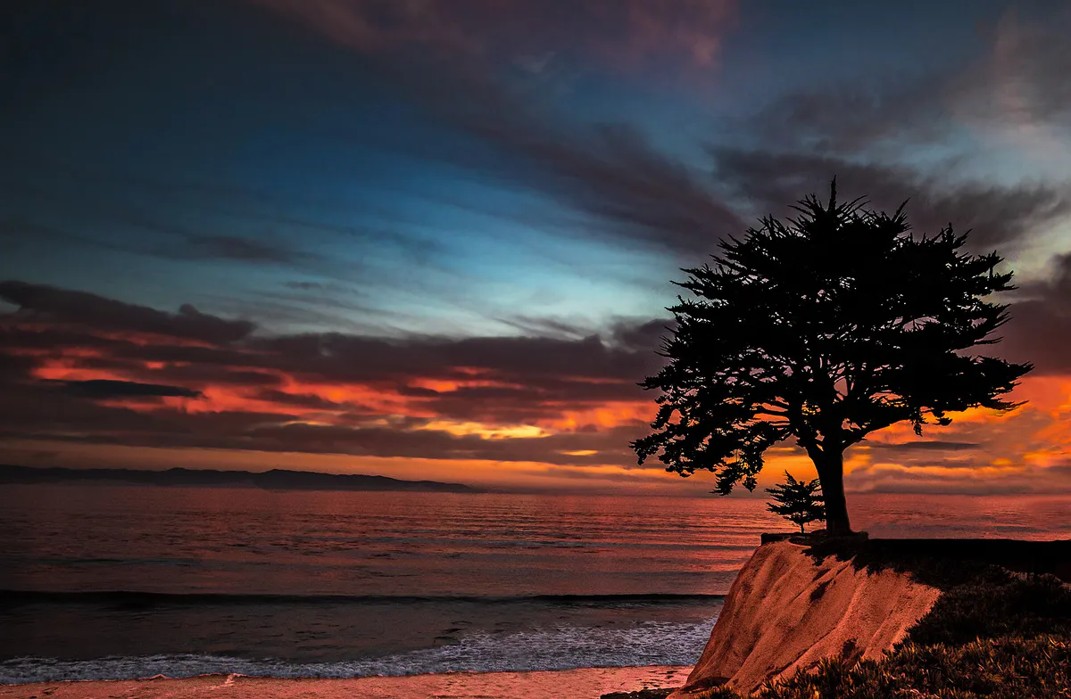 Tree at sunset, Capitola Beach, Capitola, California (31547615827)