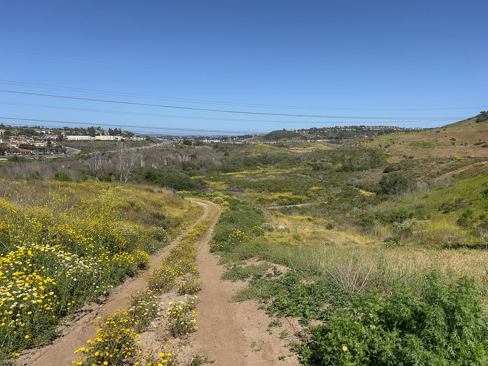 Buena Vista Creek Ecological Reserve - Carlsbad, California