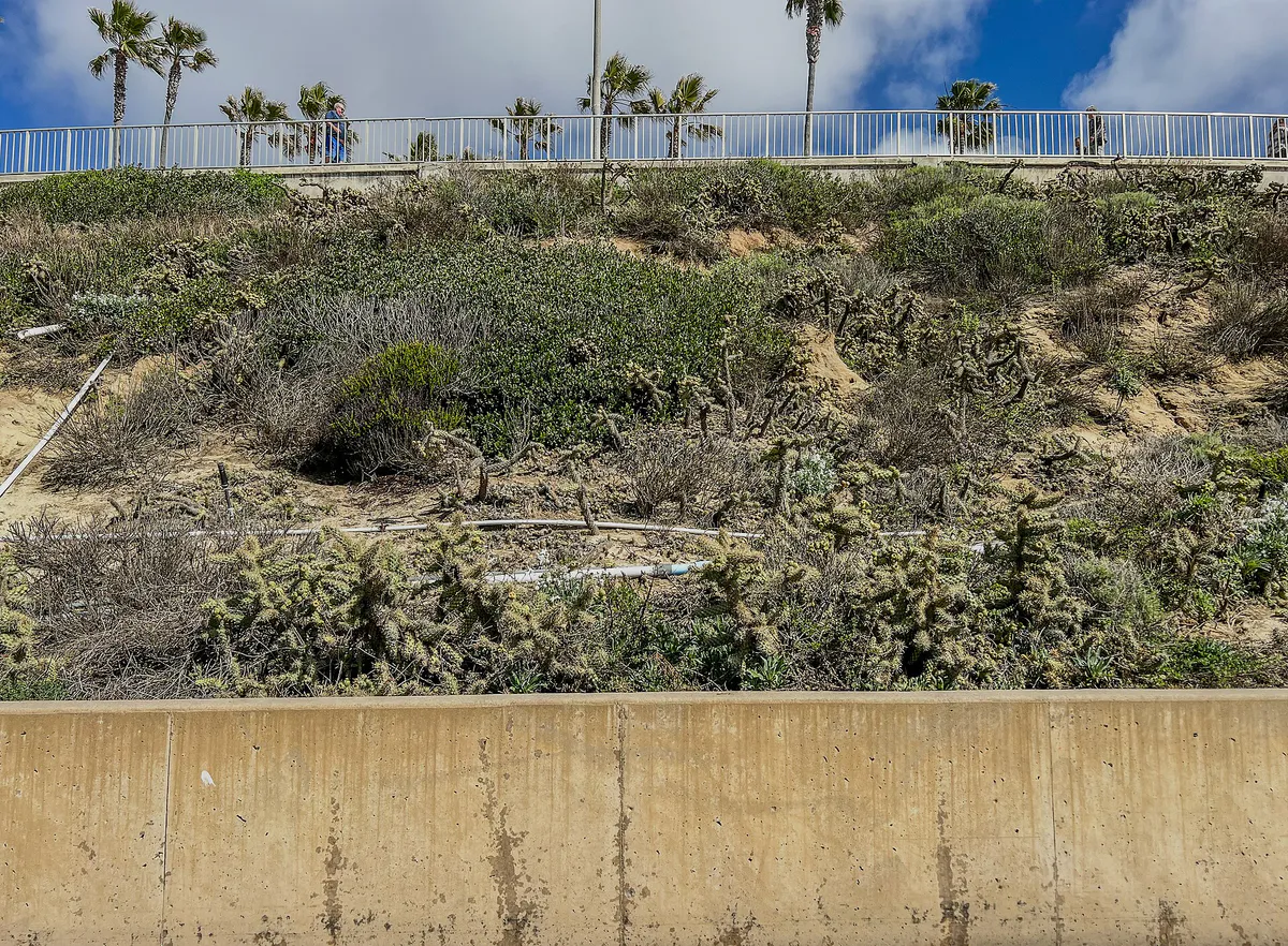 Erosion Control and Seawall - Carlsbad, California 2