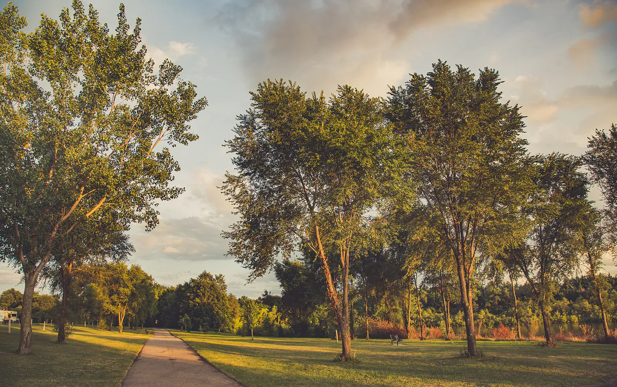 Big Lake Loop Trail - Big Woods Lake Park Campground, Cedar Falls, Iowa (41289663645)