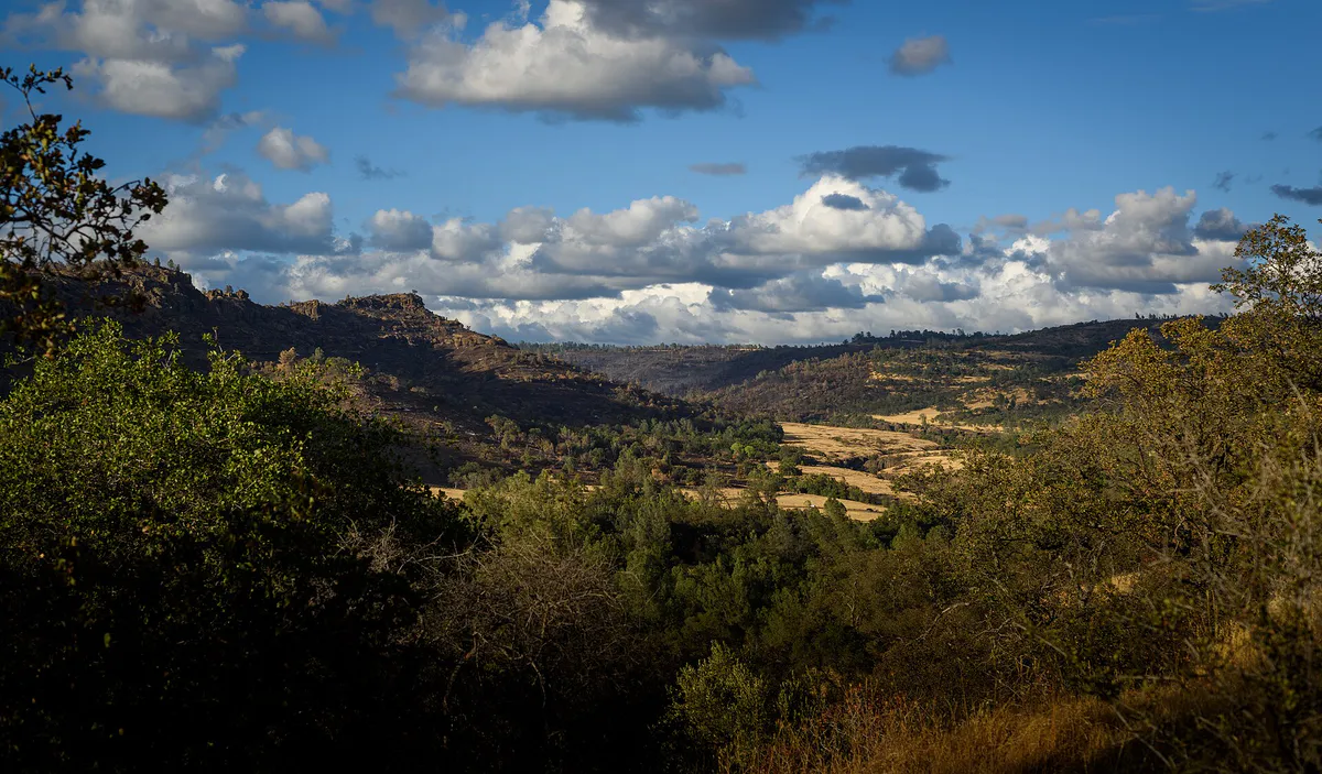 Upper Bidwell Park after the Park Fire in Chico, California