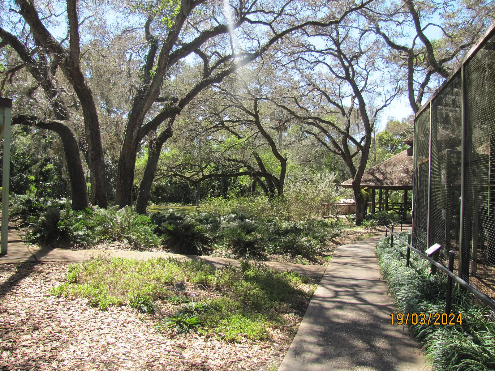 Moccasin Lake Nature Park walkway in Clearwater, Florida, 19 March 2024 (01)