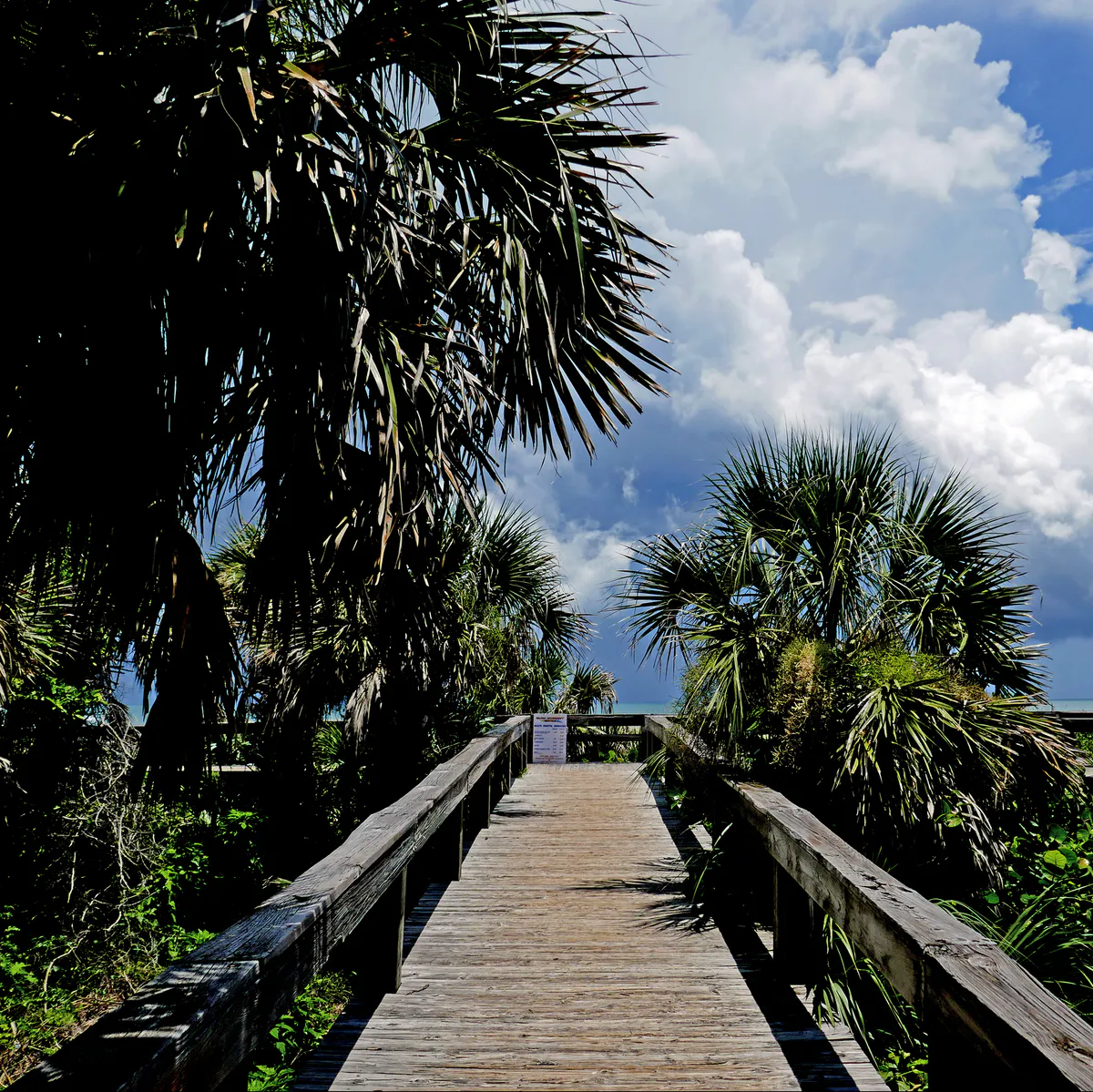 Cocoa Beach, Florida, USA (31893122318)