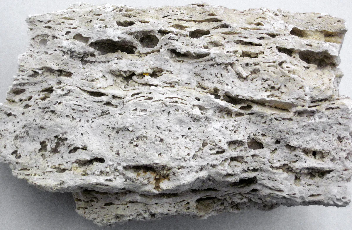 Hot springs travertine (Quaternary; Rattlesnake Mountain Uplift, west of Cody, Wyoming, USA) 19