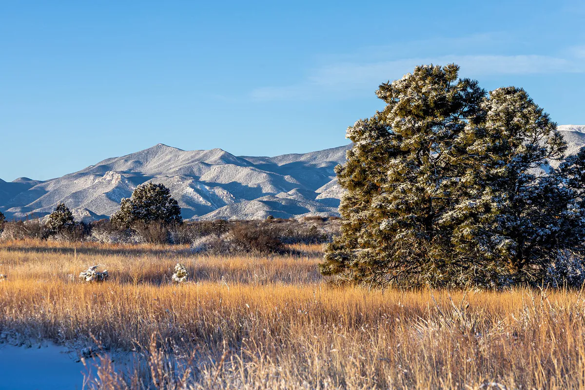 Snow in Palmer Park. Colorado Springs, Colorado (52180756506)