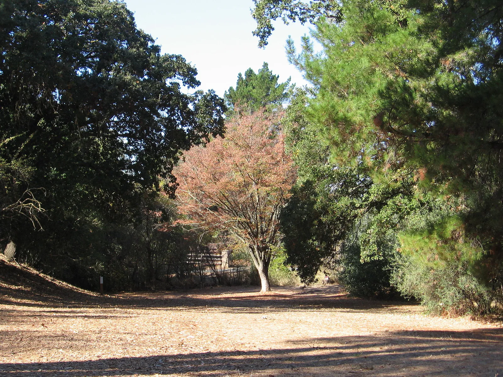 Markham Nature Park 03 in Concord, California