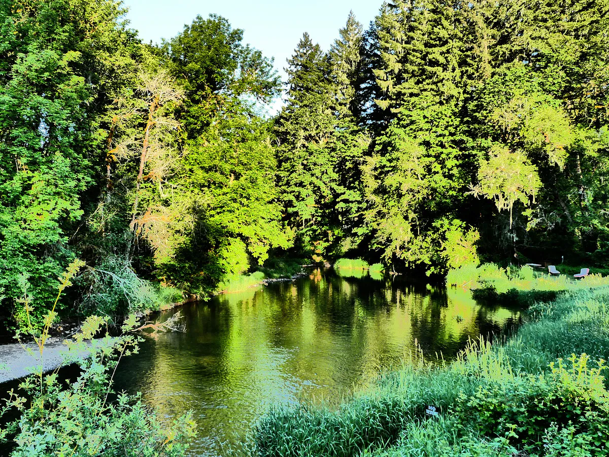 North Fork of the Alsea River near Clemens Park in Corvallis, Oregon