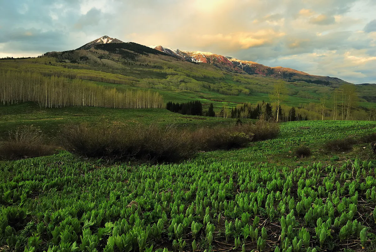 Copper Lake Trail, Crested Butte, Colorado