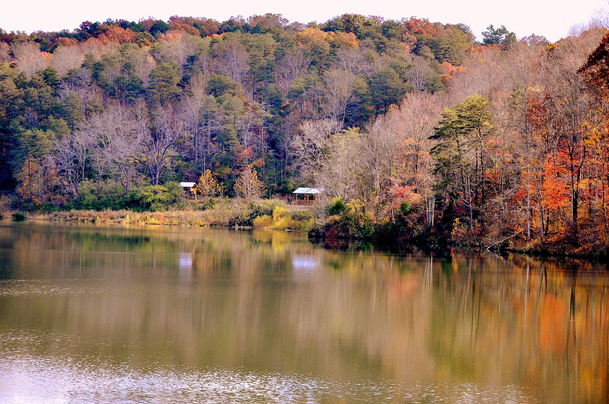 Lake at Dahlonega Georgia - panoramio