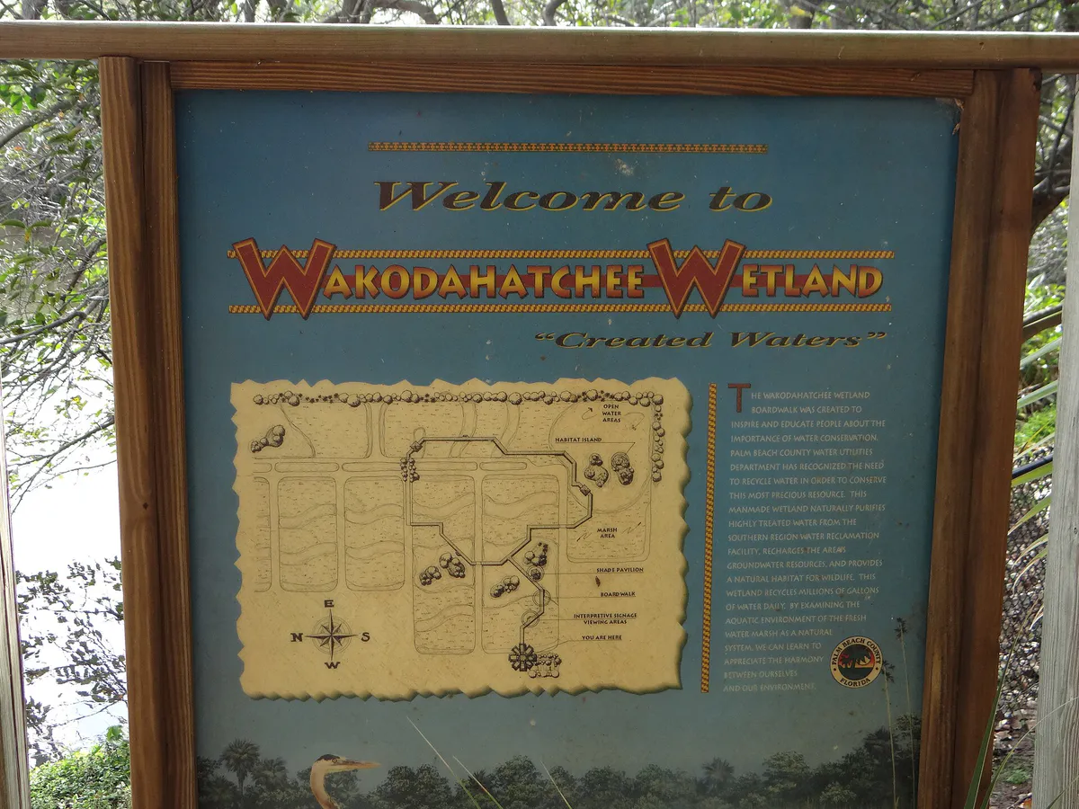 (Wakodahatchee Wetlands) Photography by David Adam Kess (Delray Beach, Florida)