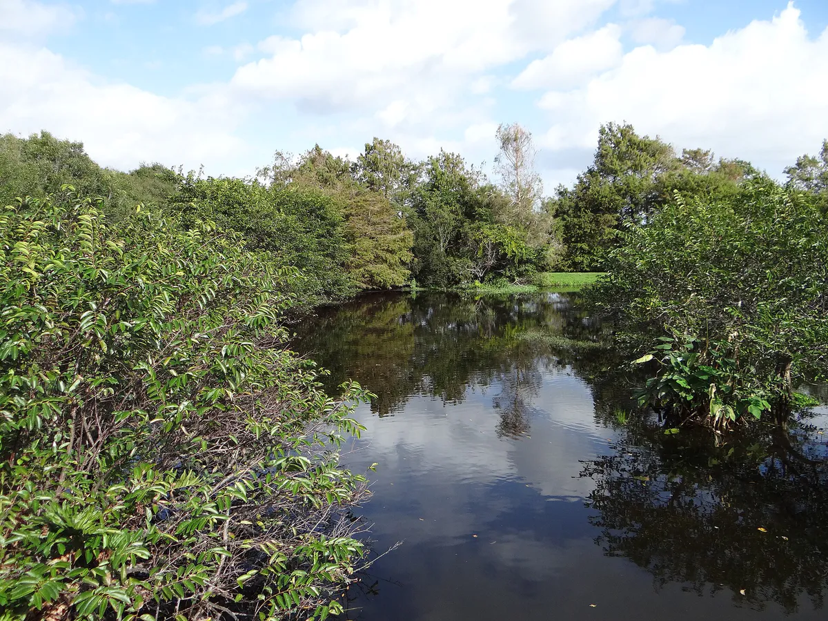 The Wakodahatchee Wetlands is a park located in Delray Beach, Florida. (Photography by David Adam Kess)
