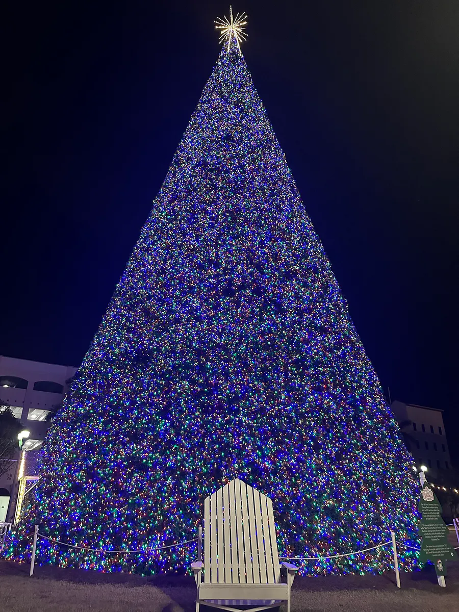 Christmas tree on display in Delray Beach, Florida on Atlantic Avenue