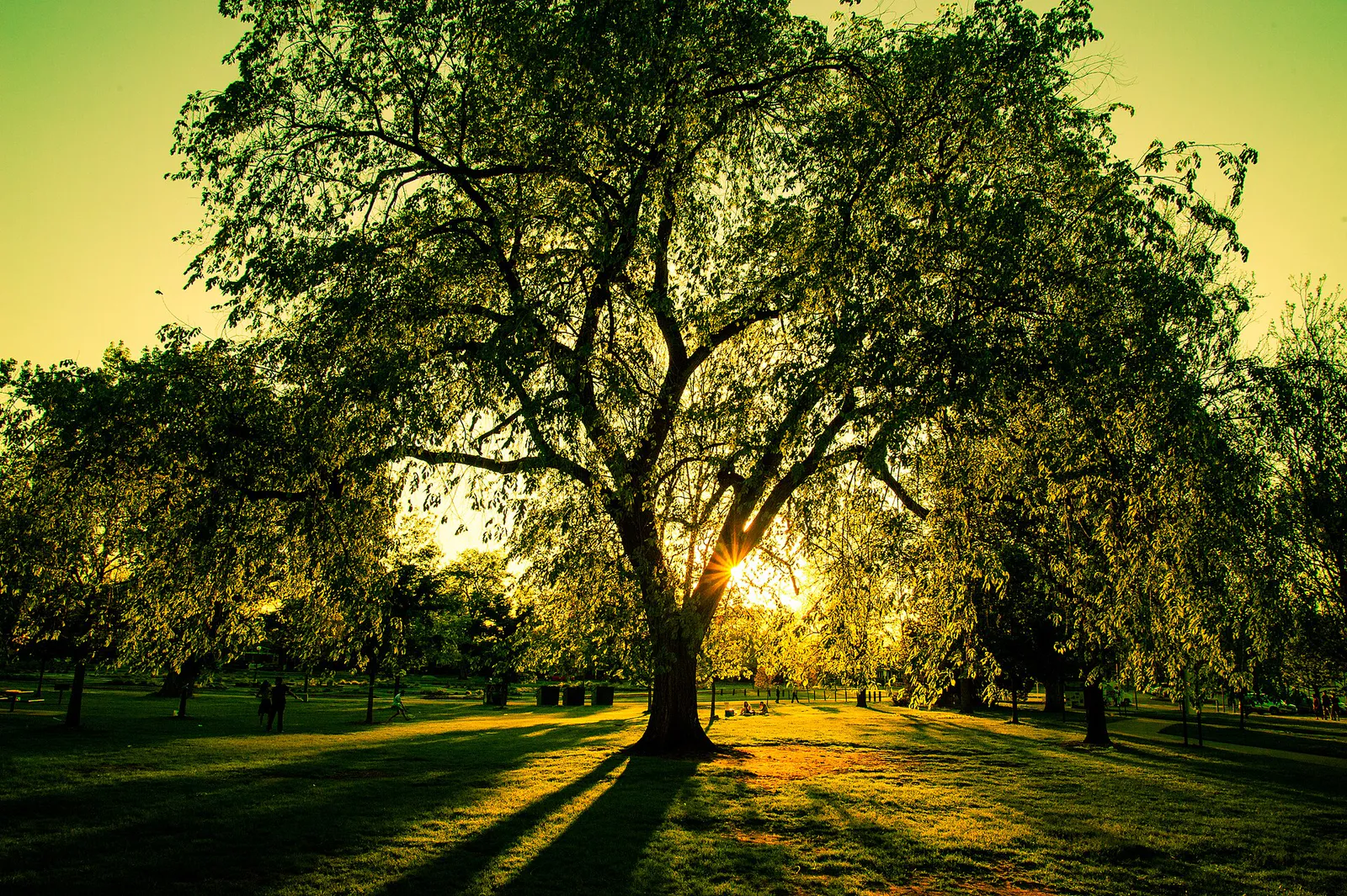 Washington Park, Denver, CO 2, Colorado
