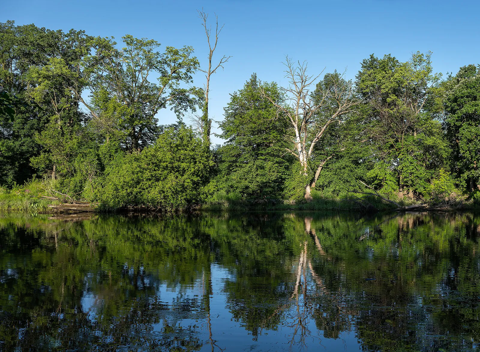 Des Plaines River Trail, Des Plaines, Illinois, US julesvernex2-10