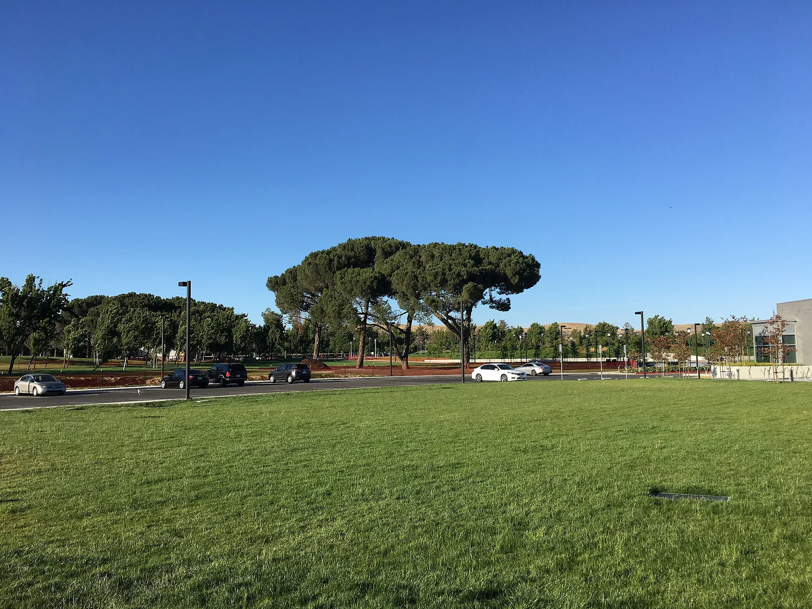 Emerald Glen Park, Dublin, California 1 2017-06-12