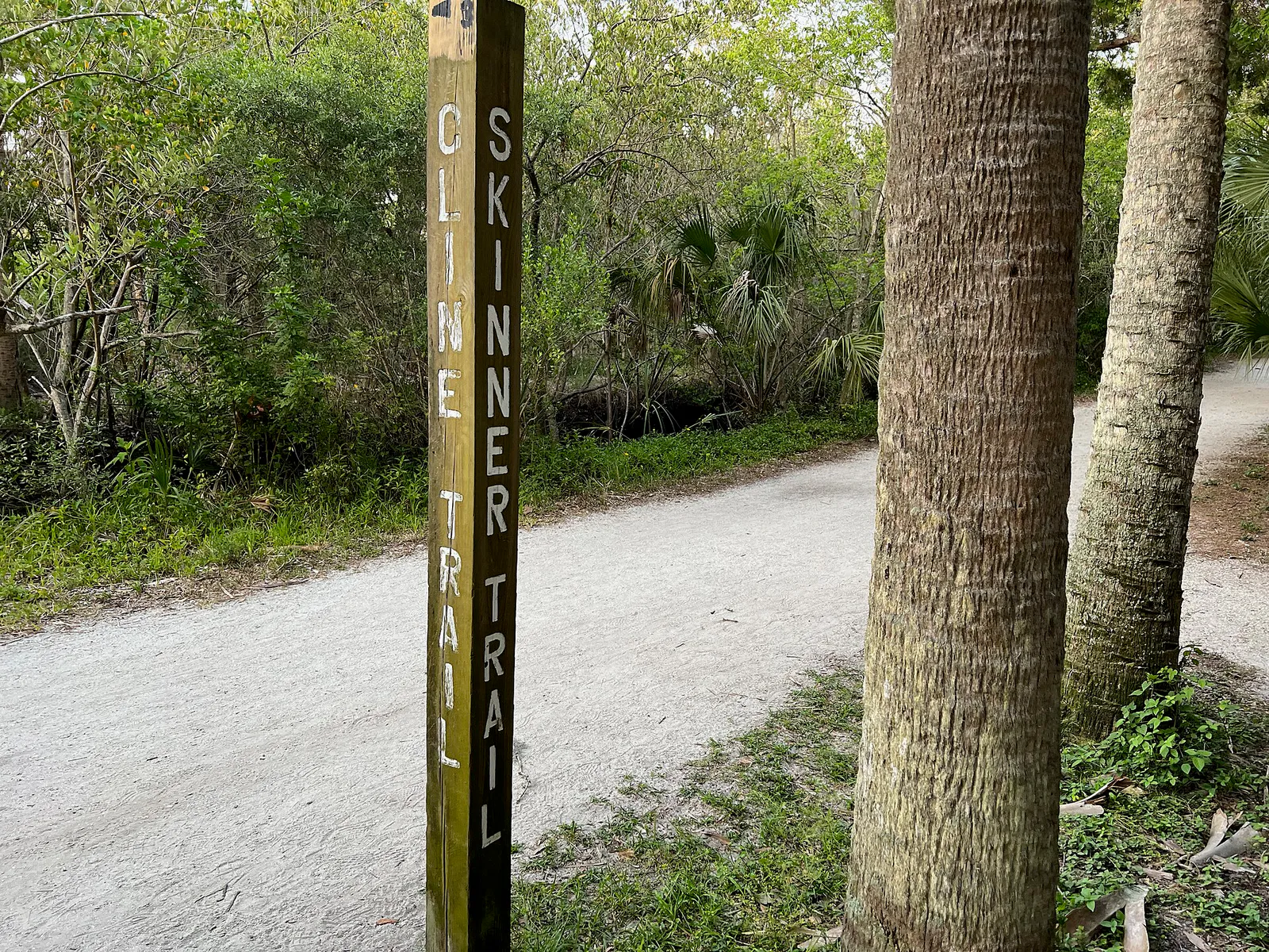 Junction of Trail pole names (52180734588) in Dunedin, Florida