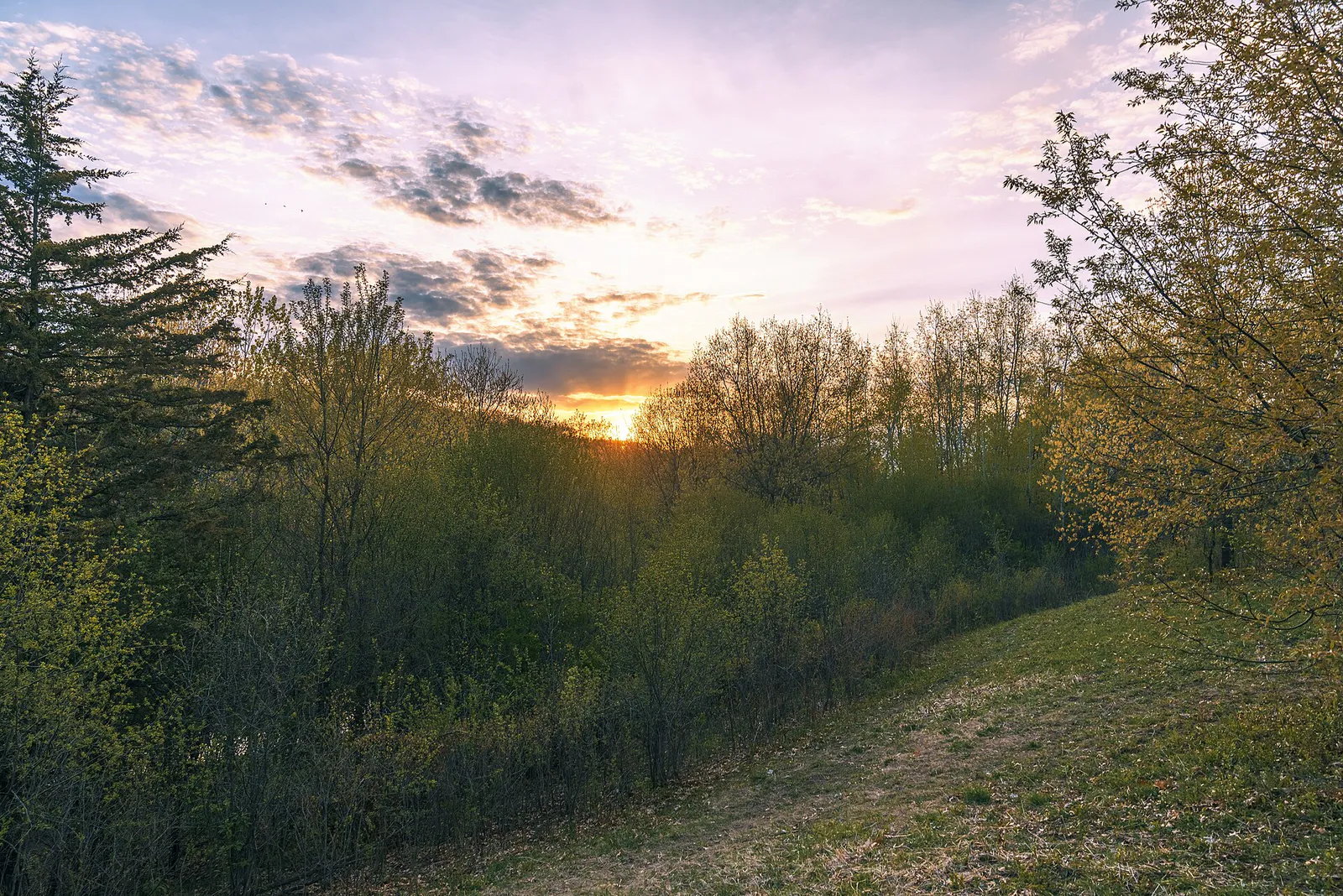Spring Sunset at Thresher Fields Park (47759074472) in Eagan, Minnesota