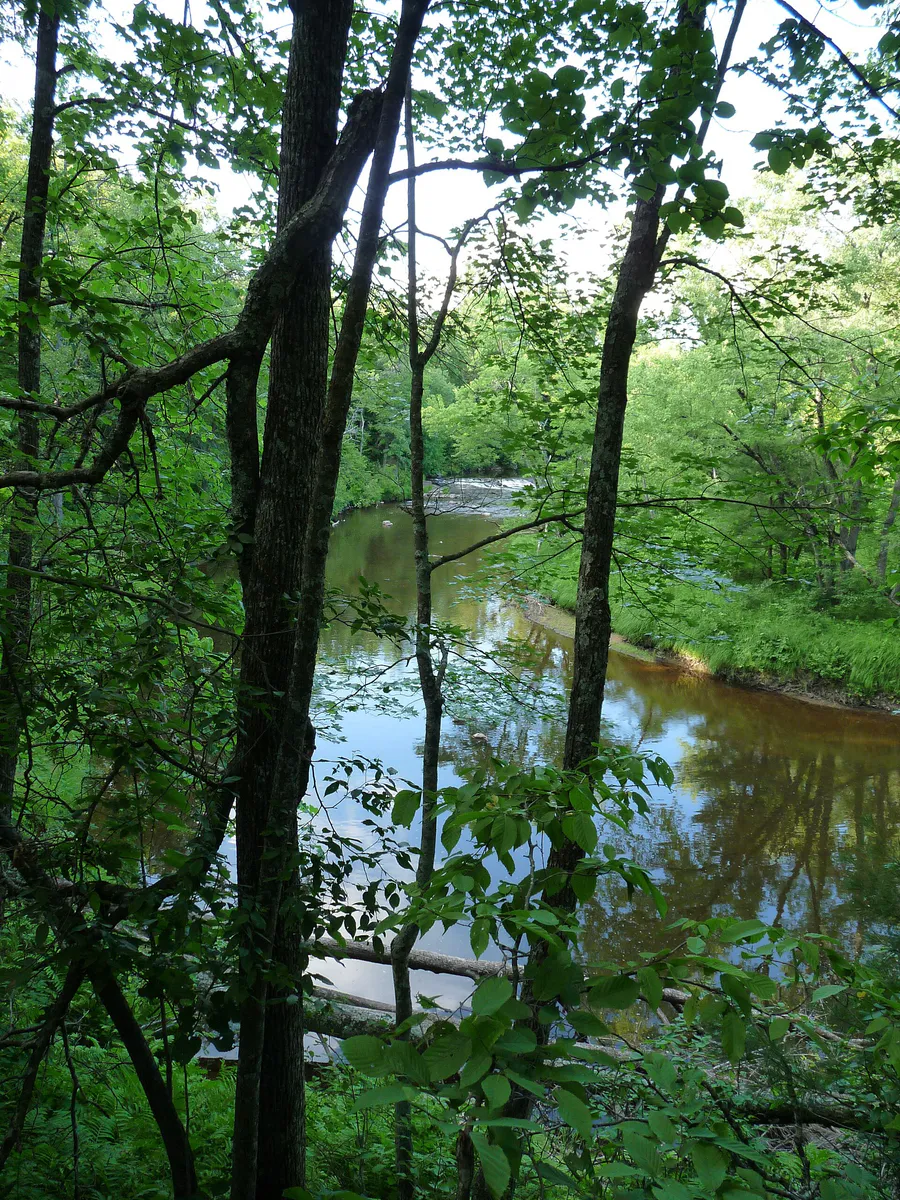 Hamilton Falls Eau Claire River Wisconsin