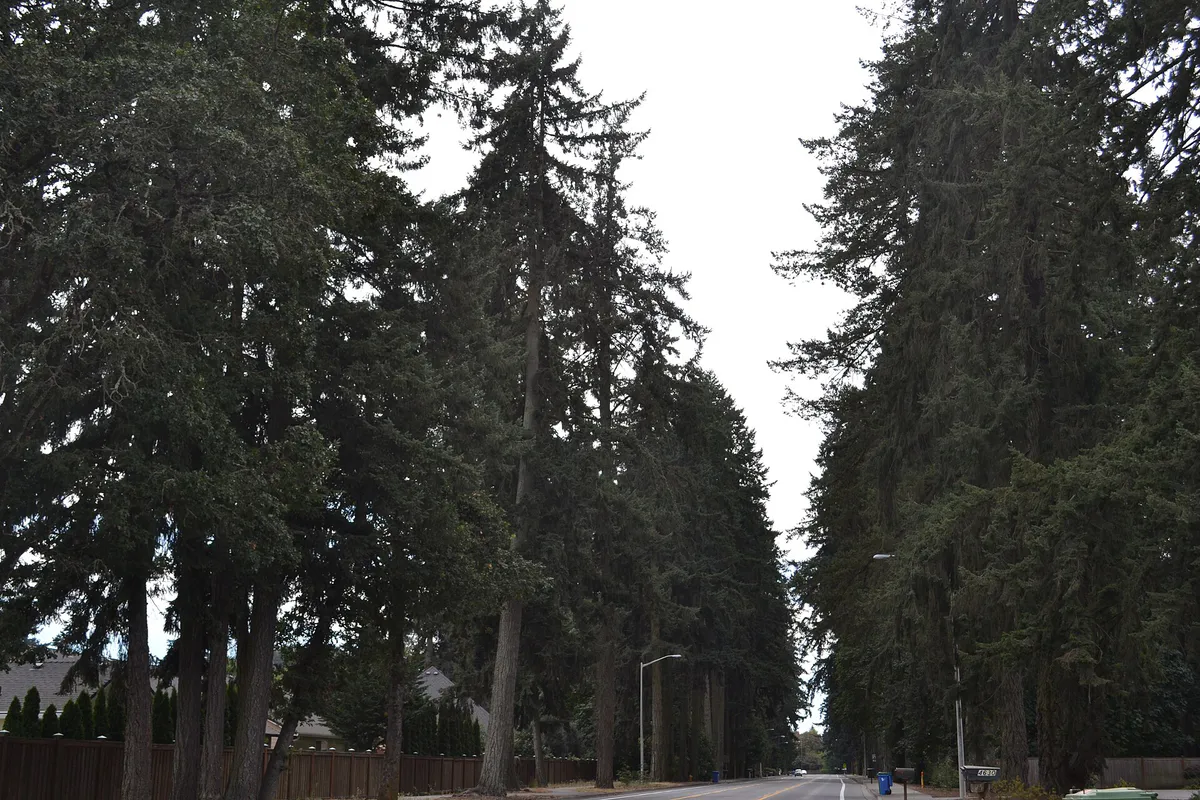Santa Clara (Eugene, Oregon) 2