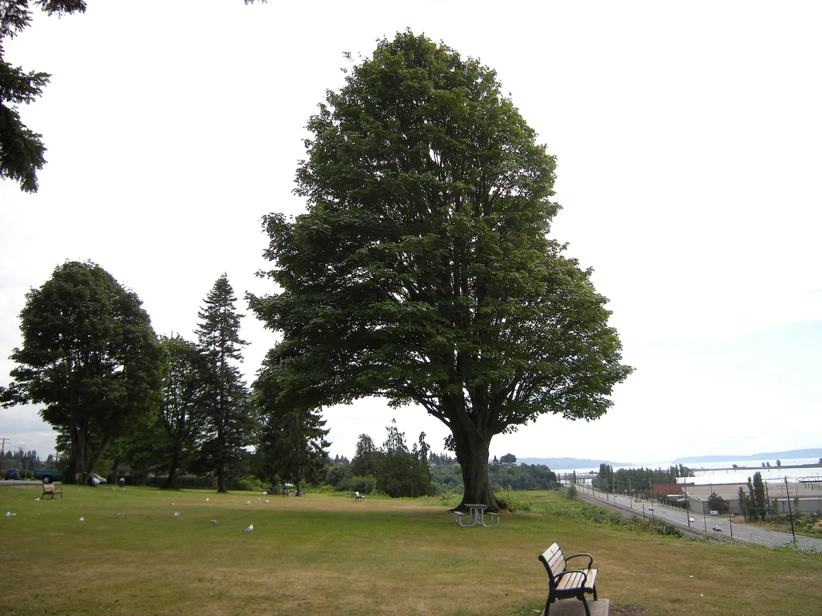 Everett, WA - Legion Park view 01, Washington