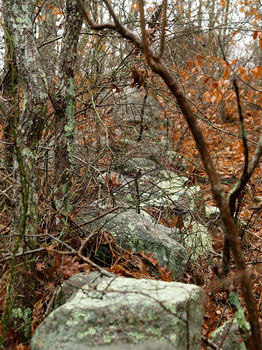 2006 Falmouth stone wall Massachusetts 306983659