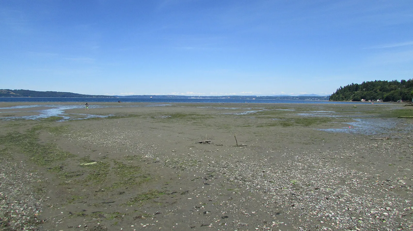 Low Tide 2015-06 131 in Federal Way, Washington
