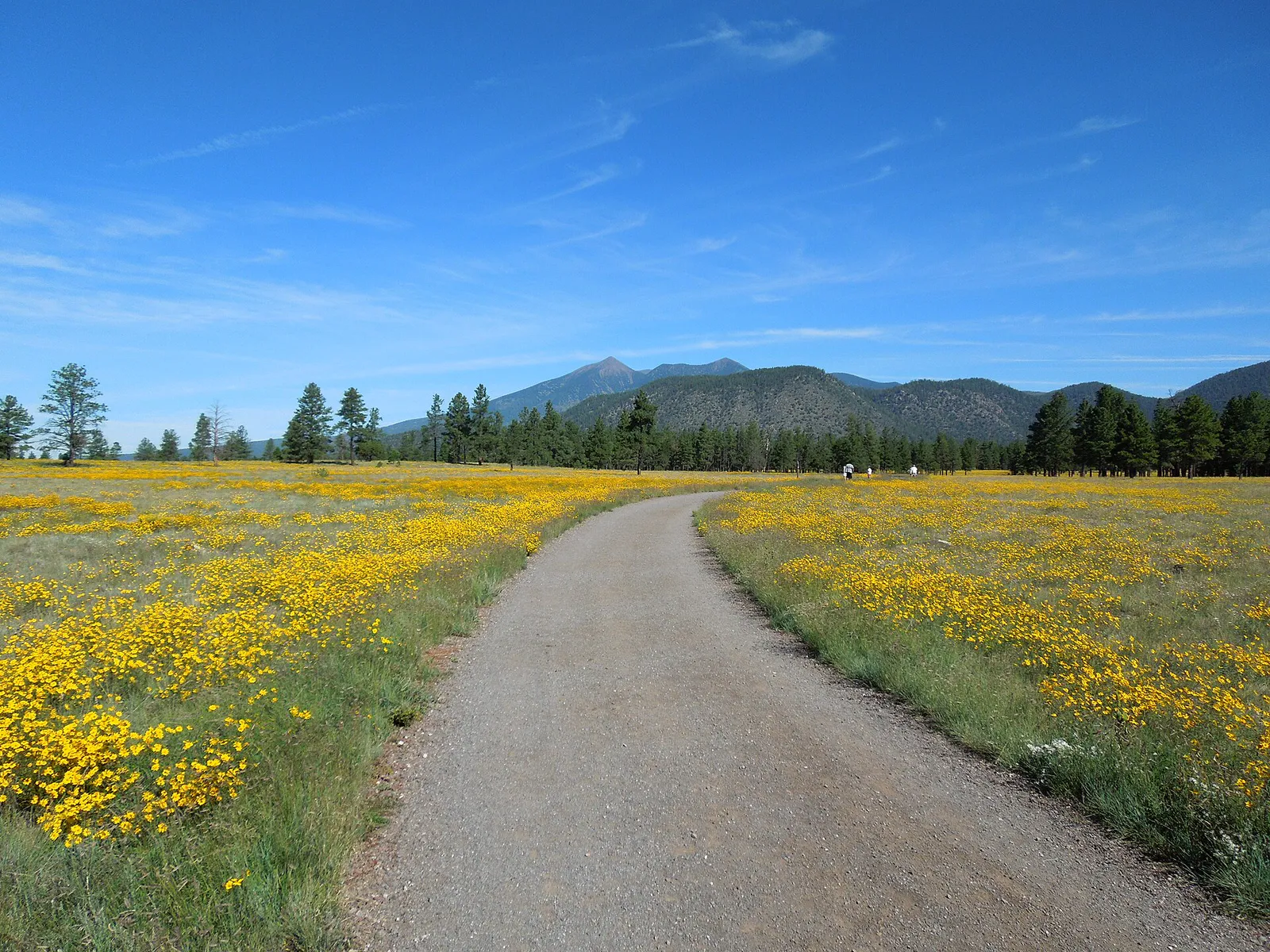 Buffalo Park - panoramio in Flagstaff, Arizona