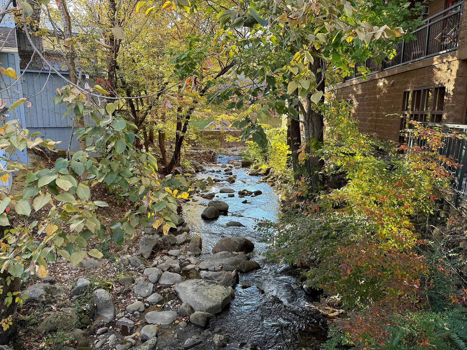 Le Conte Creek - October 2023 - Sarah Stierch 01 in Gatlinburg, Tennessee
