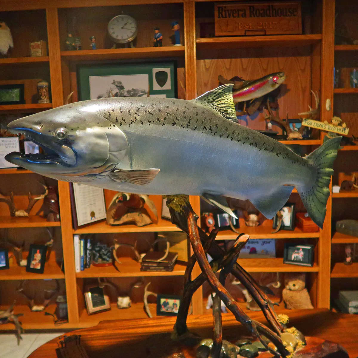 Chinook salmon Herman Garcia, Sr. 1953 Uvas Creek & Watsonville Road by Burchell Road and Chitactac-Adams Heritage County Park, Gilroy, CA, California
