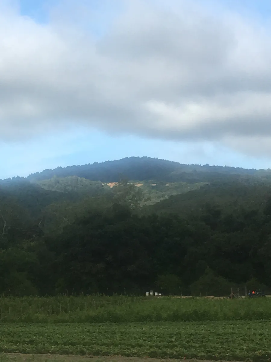 USA-Gilroy-Mount-Madonna-1, California