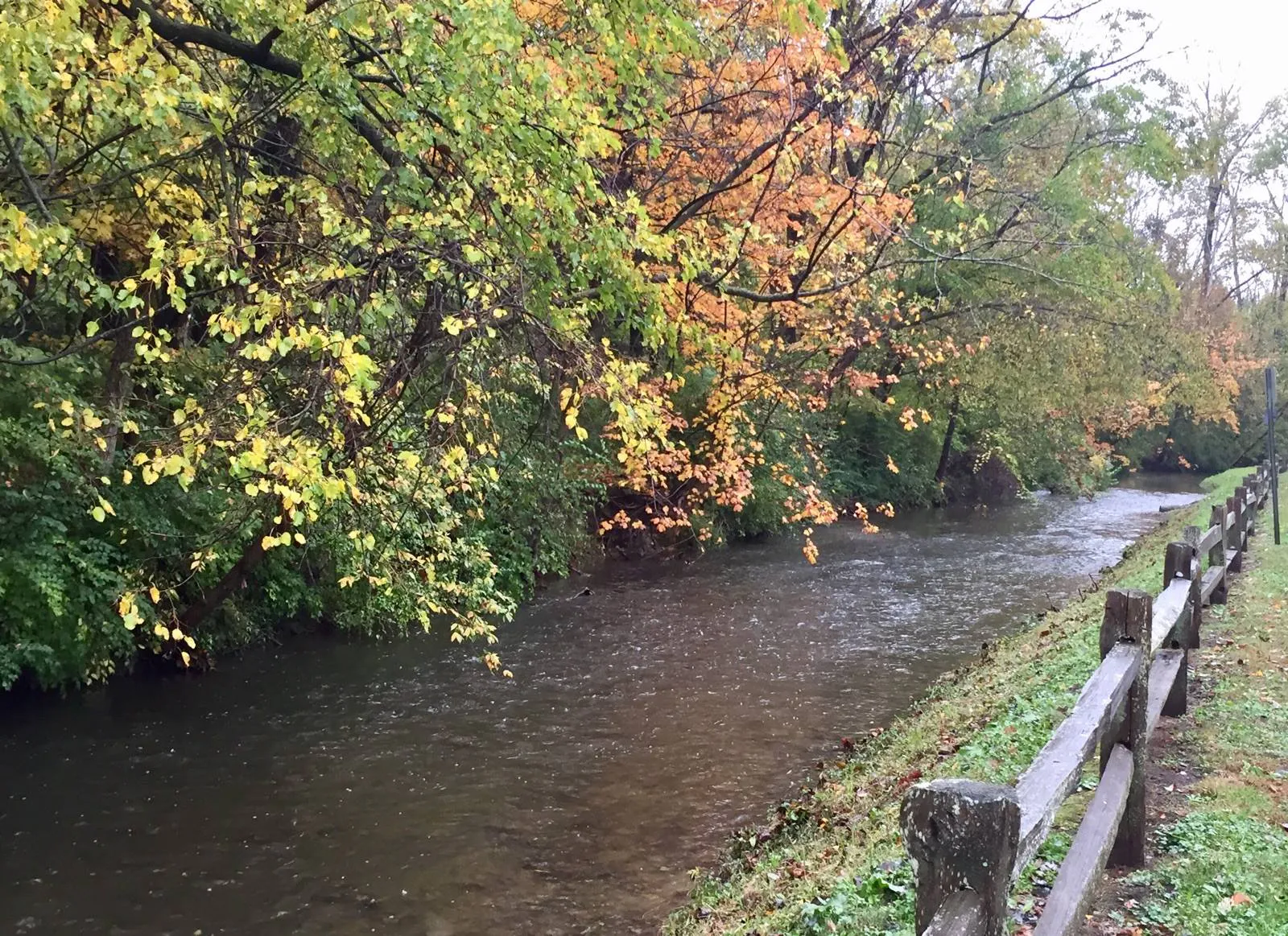 Westside Park- Pleasant Run Creek in Greenwood, Indiana